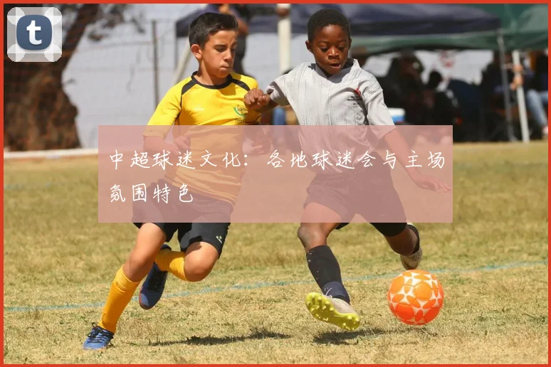 中超球迷文化:各地球迷会与主场氛围特色
