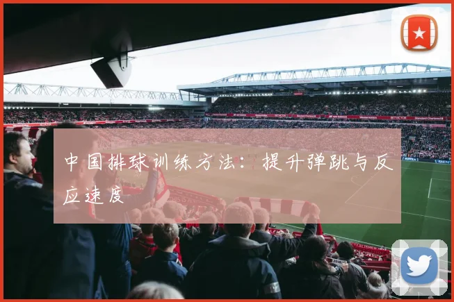 中国排球训练方法:提升弹跳与反应速度