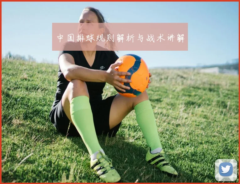 中国排球规则解析与战术讲解